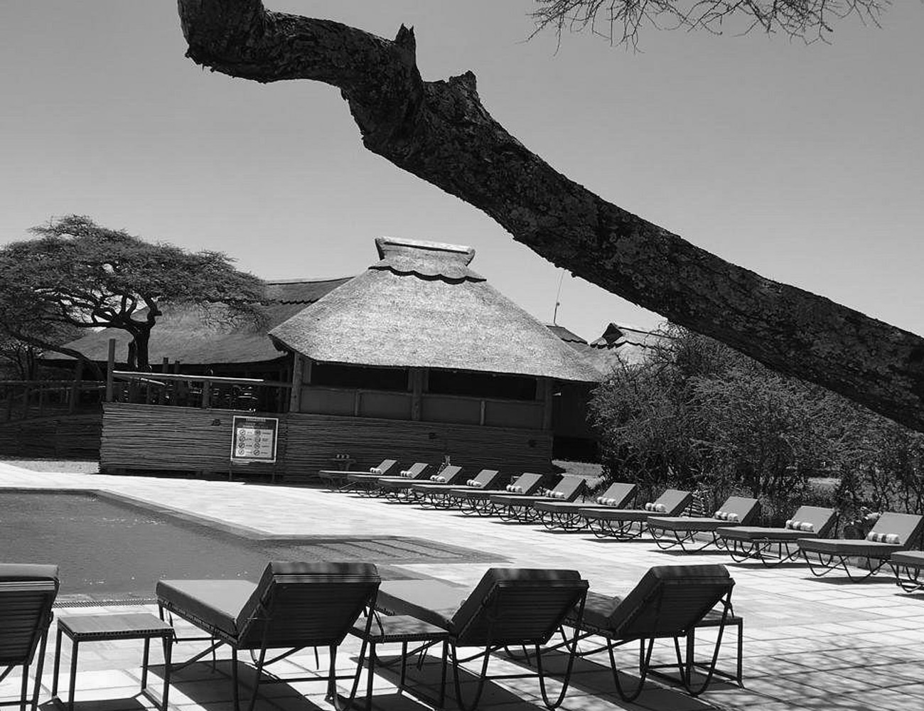 Outdoor Lounge and Pool at Lake Masek Tented Lodge