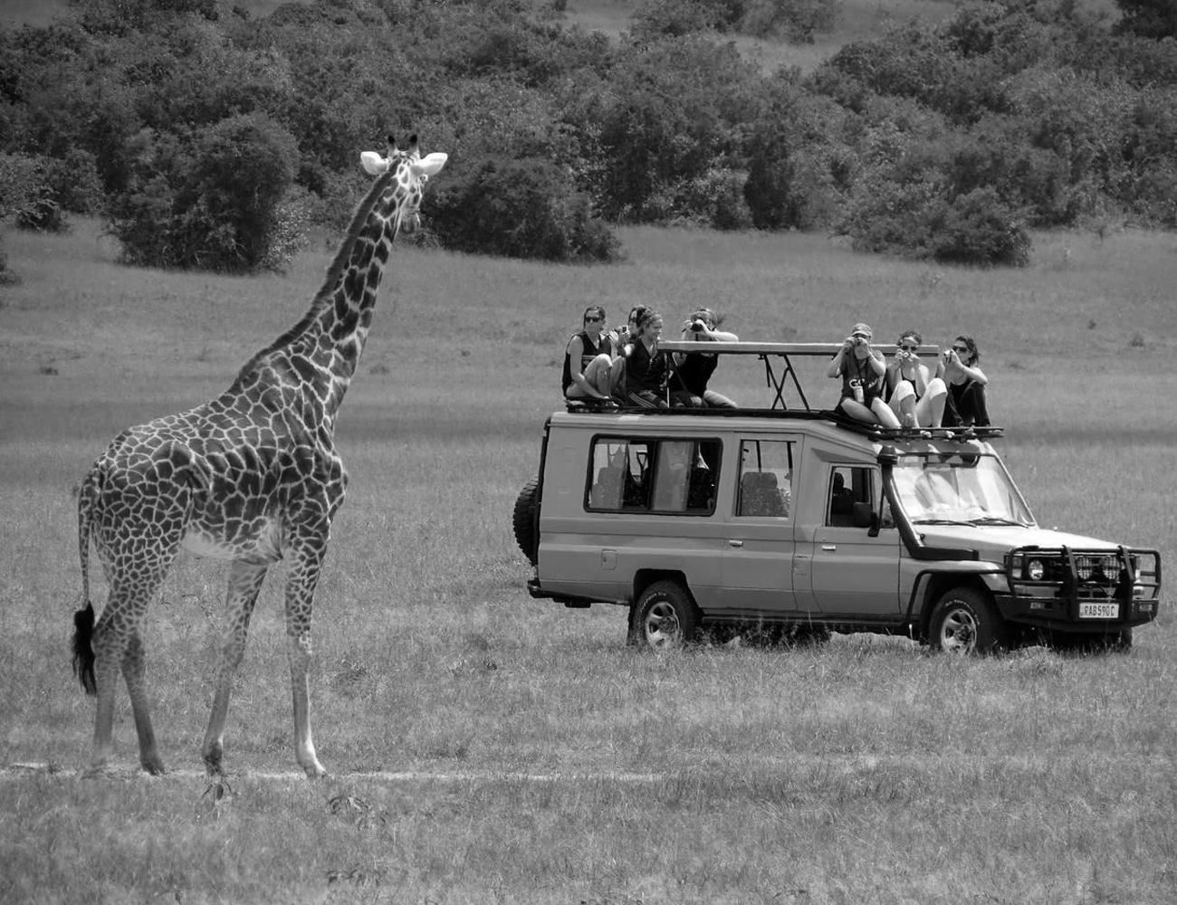 Overseas Adventure Travel Tours in the Serengeti