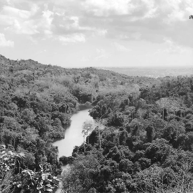 Pugu Hills Forest Reserve