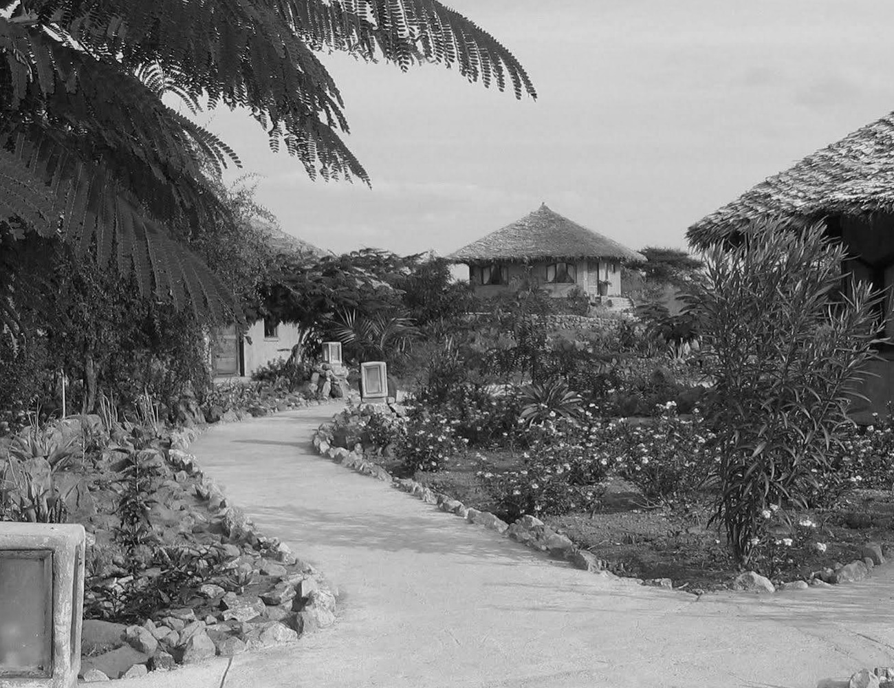 Surroundings of Kia Lodge in Tanzania
