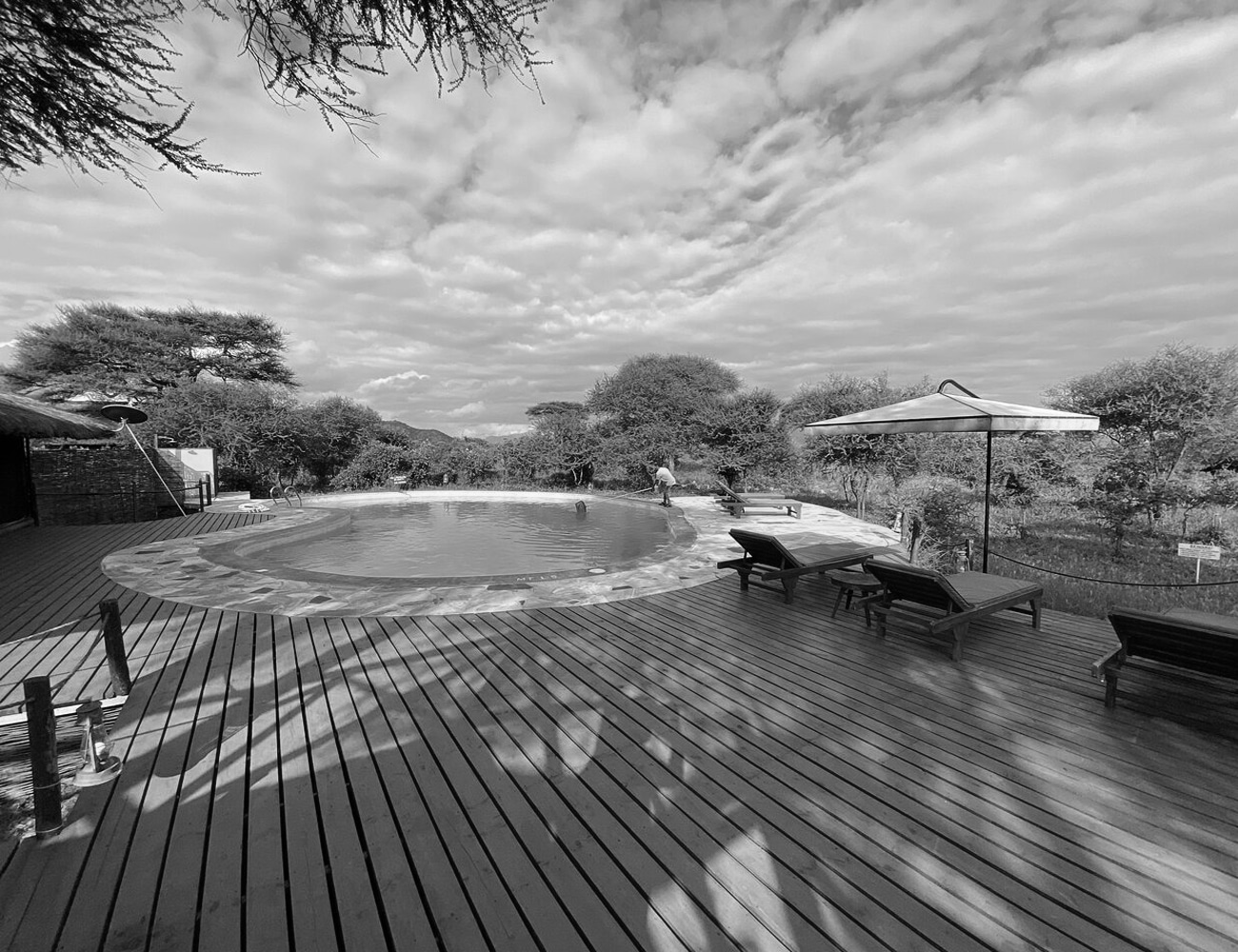 Swimming Pool at Tarangire Simba Lodge