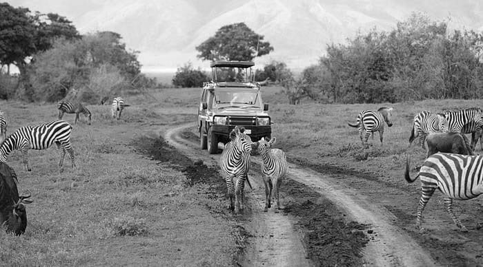 Tourists at Ngorongoro Crater