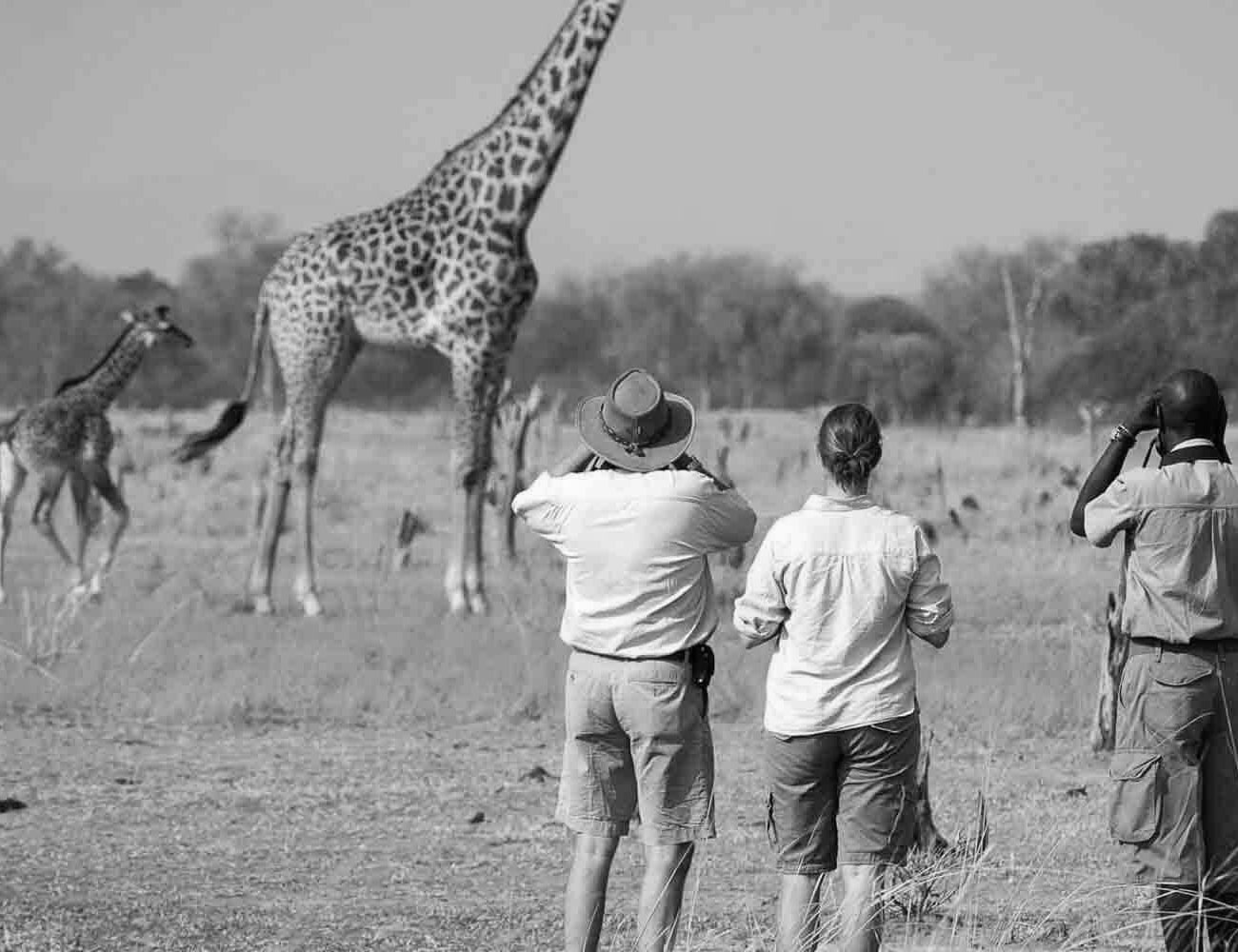 Wildlife Sightings at Arusha National Park