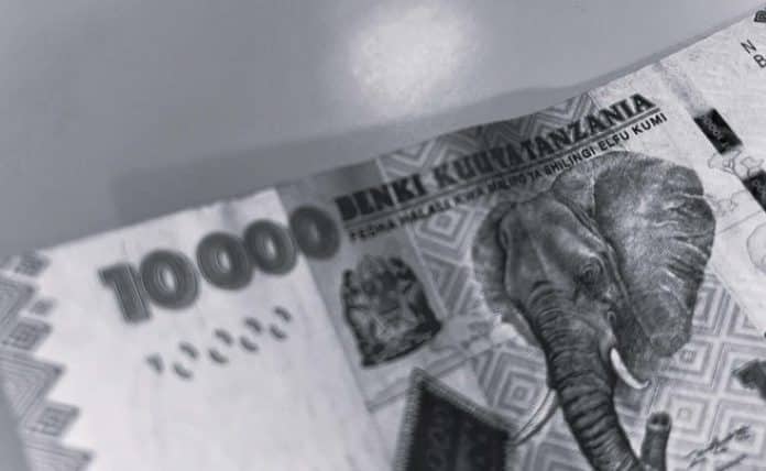 A Dive into the Economy Exploring the Buying Power of 10,000 Tanzanian Shillings in Today’s Market ‍