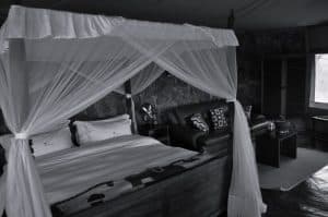 Mbalageti Tented Lodge Double room