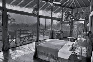 Accommodations at Tree Tops Lodge