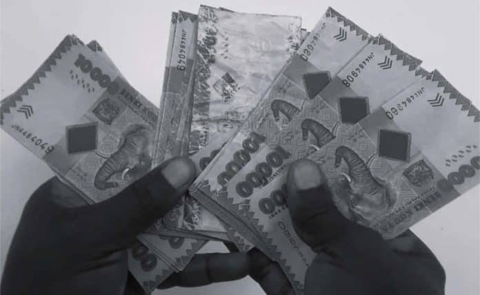 Breaking Down ‍1 Million Tanzanian Shillings 1 Million Tanzanian Shillings What Can You Do with this Wealth