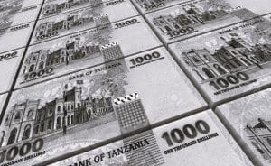 Design elements on the 1000 TZS  banknote