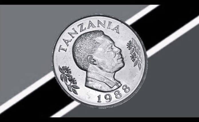 From Tanzania to Nigeria How to Calculate the Value of ‍1 Tanzanian Shilling in Naira