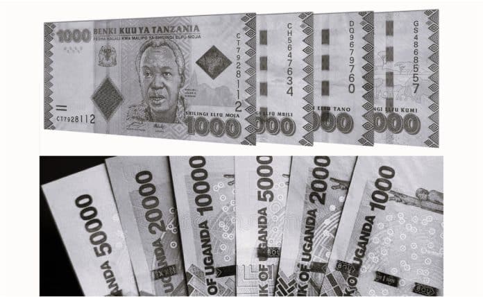 Simplify Your Travels How to Convert Tanzania Currency to Uganda Shillings
