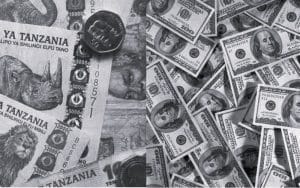 The Current Exchange Rate for Tanzanian Shillings