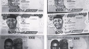 Nigerian Naira Banknotes