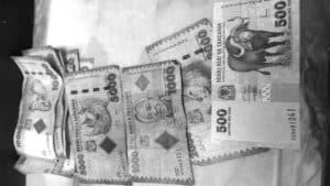 Understanding the Tanzanian Shilling (TZS)