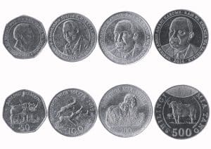 Tanzanian Shilling (TZS) coins