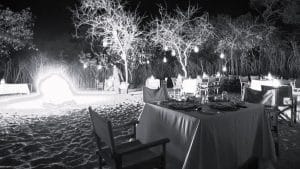 Outdoor dining at Tree Tops Lodge