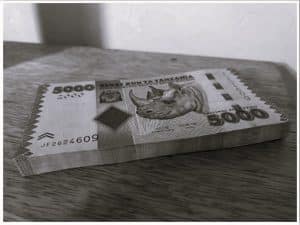 Tanzanian Shillings banknotes