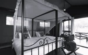 Accommodations at Kirurumu Tented Lodge