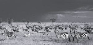 Serengeti National Park