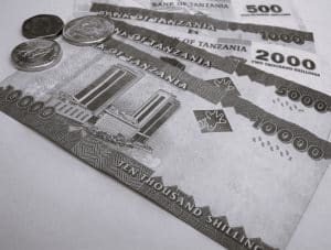 Tanzanian Shillings banknotes (TZS)