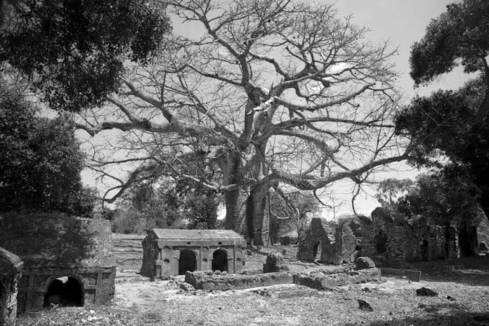 Discovering Zanzibar’s Ancient Roots at Unguja Ukuu Archaeological Site Museum