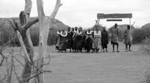 Experience Authentic Masai Culture - A Journey into Tradition