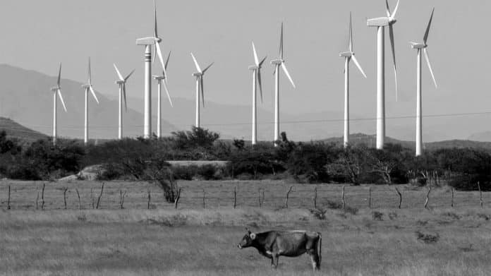 Harnessing the Wind - The Miombo Hewani Wind Power Station and Its Role in Tanzania’s Renewable Energy Goals