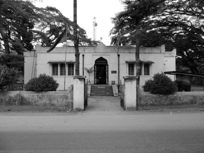 Unraveling the Mysteries of Nature at the Zanzibar Natural History Museum