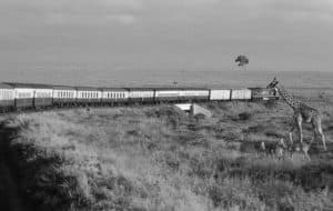 Mwanza Line - A Historic Route Connecting Tanzania to Lake Victoria.